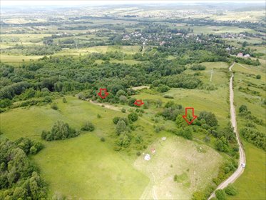 Działka 60 arów w Makowiskach – las, prywatność, dojazd działka Makowiska