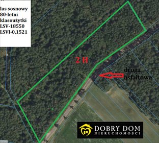 działka na sprzedaż 20000m2 działka Gorędy