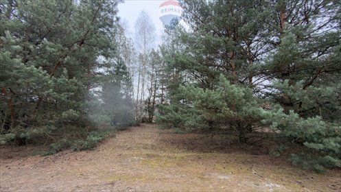 Działka 5500 m² z potencjałem inwestycyjnym w Michałowie działka Michałów