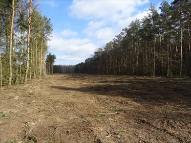 działka na sprzedaż 7970m2 działka Chyliny, Chyliny
