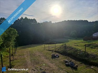 dom na sprzedaż 200m2 dom Płytnica