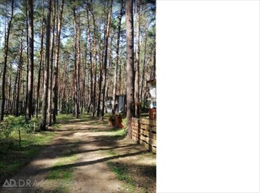 Lokal użytkowy na sprzedaż Biała 500m2 Foto 6