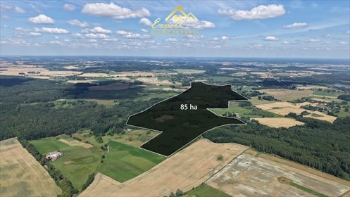 Grunty rolne 85 ha w Zalewie - zapraszam działka Zalewo
