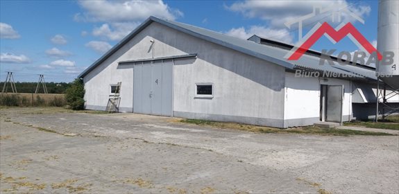 Magazyn na sprzedaż Samborowo 7 900m2 Foto 6