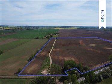 Polecam! Atrakcyjna działka rolna 11,9 ha z dostępem do drogi działka Szudziałowo