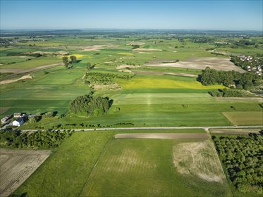 Działka budowlana 2756 m² z prywatnym lasem (Sędziejowice) działka Sędziejowice, OKAZJA! Działka bud. Z fragmentem prywatnego lasu