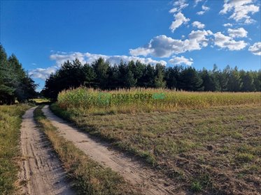 działka na sprzedaż 1108m2 działka Trypucie