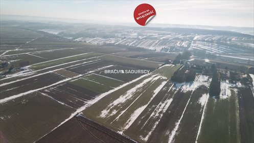 Działka budowlana na sprzedaż Gołyszyn 15 000m2 Foto 4