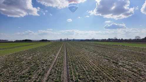 działka na sprzedaż 8800m2 działka Świdnik Duży, Świdnik Duży Drugi