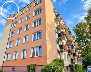 Zapraszam do obejrzenia 18,3 m² mieszkania na parterze w Chełmie mieszkanie Chełm, Ks. Piotra Skargi