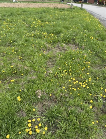 działka na sprzedaż 900m2 działka Rączna