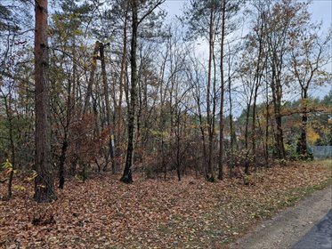 Przestronna działka 8565 m² z lasem, idealna pod dom działka Helenów