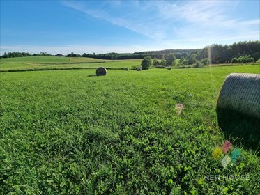 Działka budowlana na sprzedaż Sąpłaty 23 600m2 Foto 6