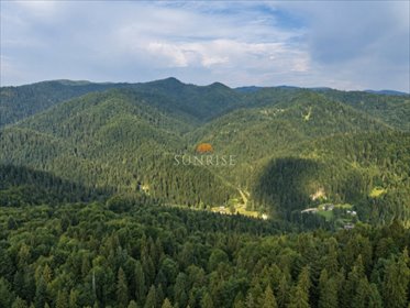 Na sprzedaż działka leśna 4,88 ha z polaną w Szczawnicy działka Szczawnica, Bereśnik