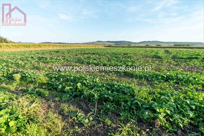 działka na sprzedaż 513m2 działka Krówniki