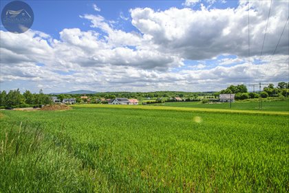 działka na sprzedaż 1351m2 działka Wierzbna