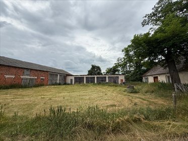 działka na sprzedaż 118200m2 działka Babia