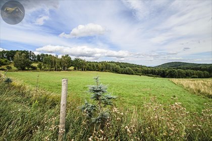 Sprzedam działki 3000 m² w Michałkowej z warunkami zabudowy działka Michałkowa