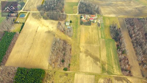 Działka budowlana na sprzedaż Żelazówka 5 900m2 Foto 5