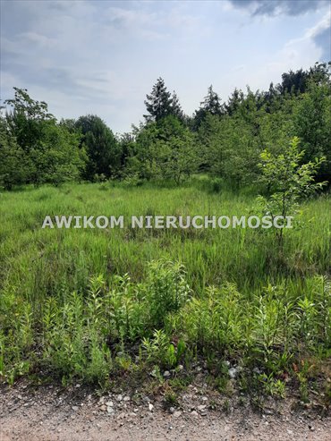działka na sprzedaż 3904m2 działka Żółwin