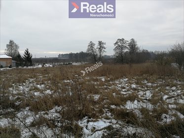 Dom na sprzedaż Kussy 242m2 Foto 7