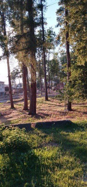 działka na sprzedaż 3800m2 działka Osobnica, Osobnica