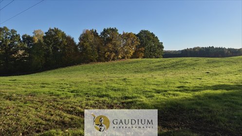 działka na sprzedaż 3551m2 działka Goszyn