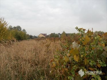 Działka budowlana na sprzedaż Żarki 1 559m2 Foto 3