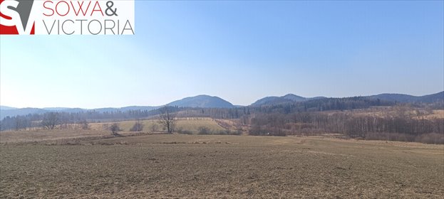 Działka 1600 m² z stodołą i widokami - polecam działka Olszyniec