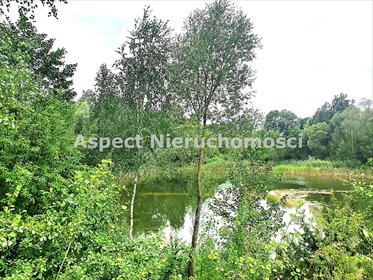 działka na sprzedaż 100900m2 działka MOŃKI, Hornostaje