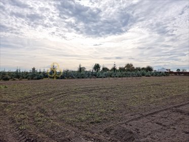 Działka budowlana 1134 m² - media, cisza, blisko miasta działka Stara Góra