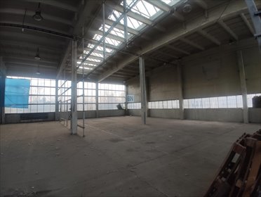lokal użytkowy na wynajem 750m2 lokal użytkowy Gliwice