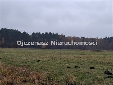 Na sprzedaż działka 26 855 m² z MPZP w Białych Błotach działka Lisi Ogon