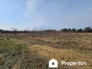 działka na sprzedaż 1500m2 działka Stare Załubice