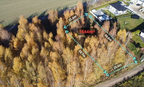 Sady pod Poznaniem | Działka z brzozami | 1544 m2 działka Sady, Topolowa