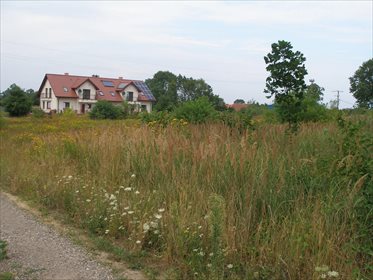 działka na sprzedaż 4000m2 działka Buk