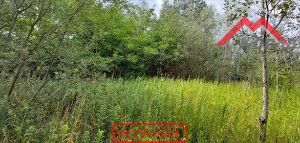 Działka budowlana na sprzedaż Dziekanów Nowy, Dziekanów Nowy 2 000m2 Foto 7