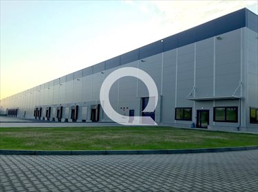 magazyn na wynajem 13500m2 magazyn Czerna