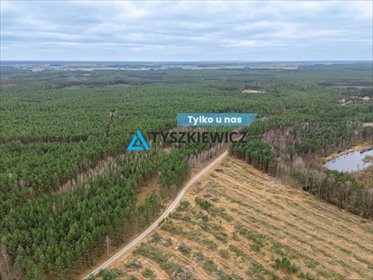 działka na sprzedaż 67200m2 działka Jonki