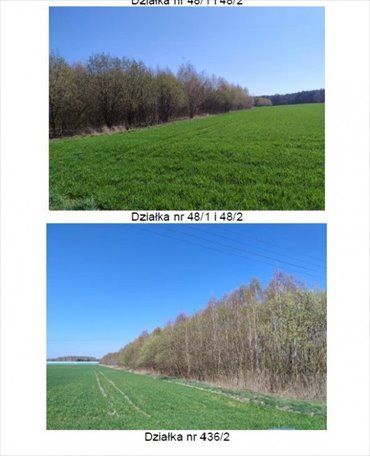 działka na sprzedaż 23200m2 działka Lubowidza