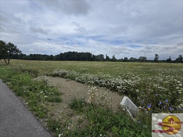 Działka pod dom jednorodzinny, media, spokojna okolica działka Piastów