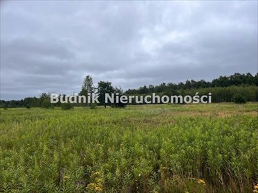 działka na sprzedaż 3222m2 działka Secymin Polski