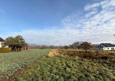 działka na sprzedaż 5300m2 działka Kobylany