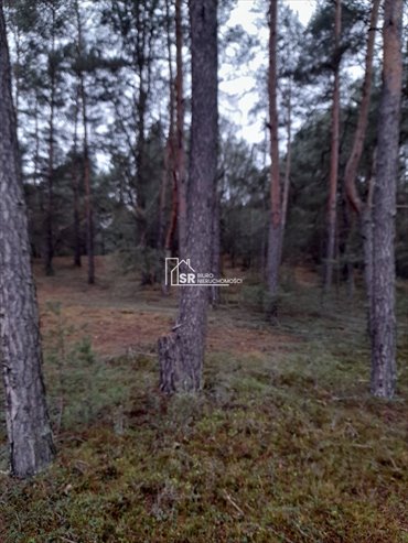 działka na sprzedaż 29211m2 działka Patoki