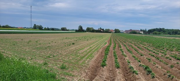 działka na sprzedaż 4737m2 działka Oleśnica, Dobroszycka