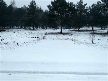 Działka inwestycyjna na sprzedaż Białebłoto-Kurza 20 159m2 Foto 5