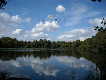Polecam działkę 23 000 m² nad jeziorem Czarny Bród działka Trojaczek