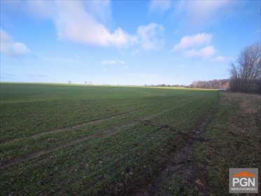 Polecam działkę 1000 m² pod zabudowę w Połchowie działka Połchowo