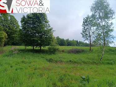 działka na sprzedaż 2016m2 działka Głuszyca