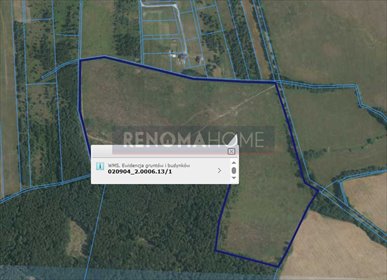 działka na sprzedaż 196400m2 działka Miłogostowice